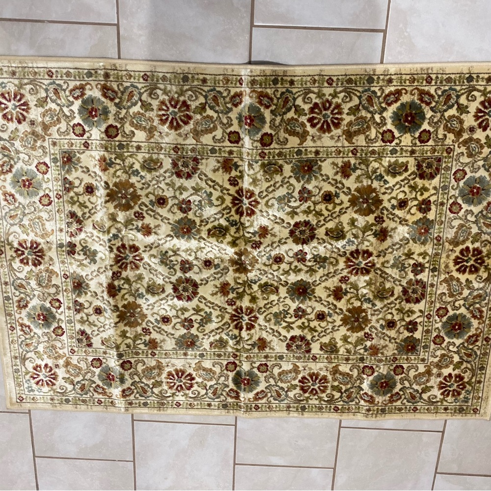 Brand New Accent Rug